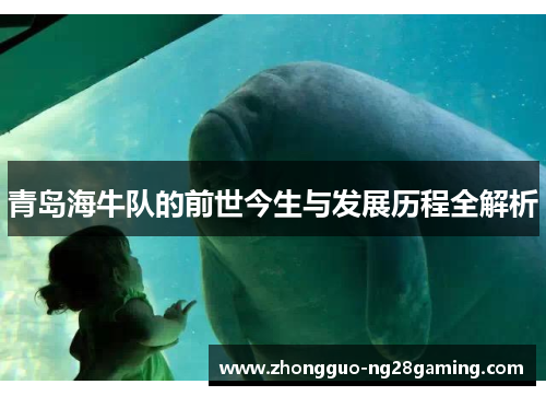 青岛海牛队的前世今生与发展历程全解析