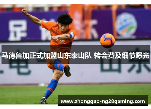 马德鲁加正式加盟山东泰山队 转会费及细节曝光