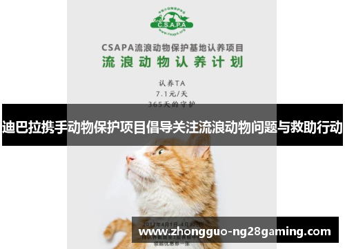 迪巴拉携手动物保护项目倡导关注流浪动物问题与救助行动